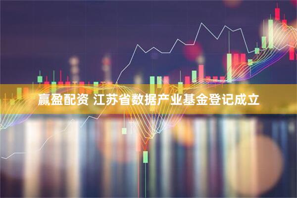 赢盈配资 江苏省数据产业基金登记成立
