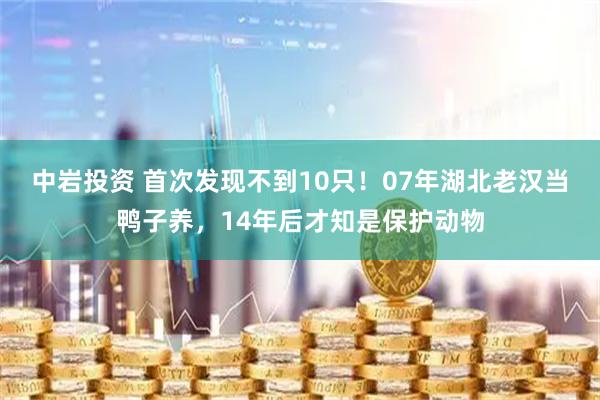 中岩投资 首次发现不到10只！07年湖北老汉当鸭子养，14年后才知是保护动物