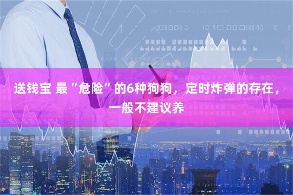 送钱宝 最“危险”的6种狗狗，定时炸弹的存在，一般不建议养
