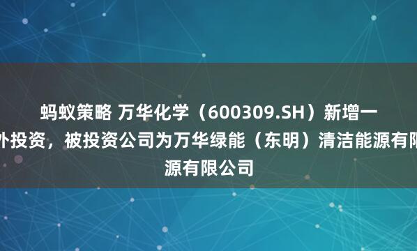 蚂蚁策略 万华化学（600309.SH）新增一起对外投资，被投资公司为万华绿能（东明）清洁能源有限公司